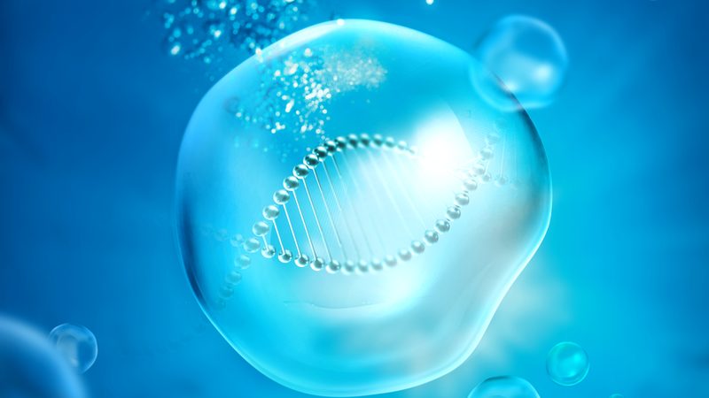 PCR检测试剂盒：如何确保其稳定性和有效性？**