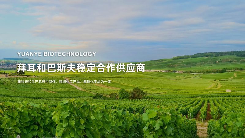 CRS软件与同类软件的差异化解析