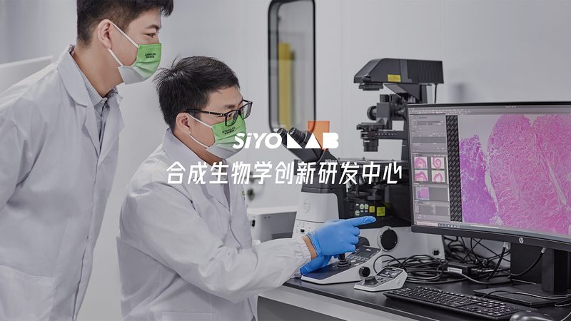 引物合成：揭秘PCR实验中的关键步骤