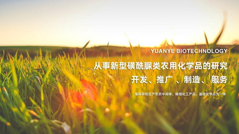 实验室耗材灭菌要求：揭秘灭菌与普通耗材的奥秘