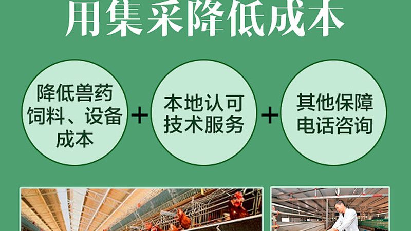 单基因病测序：揭秘精准医疗的“钥匙”**