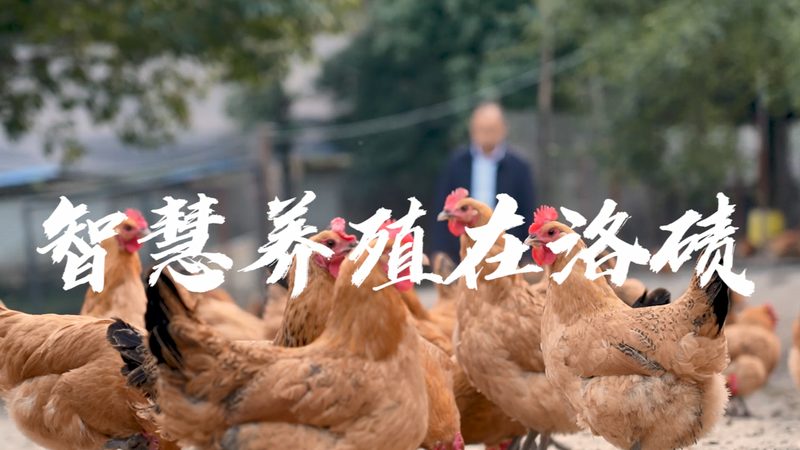 生物科技产品分类解析：探索多样化的应用场景