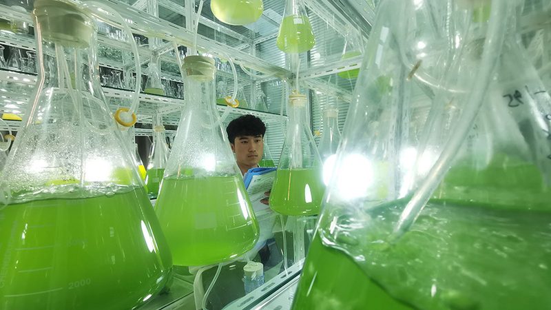 PCR检测实验步骤详解：从原理到操作要点